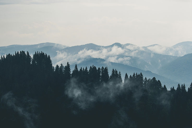 Forestry & Transportation Metal Processing